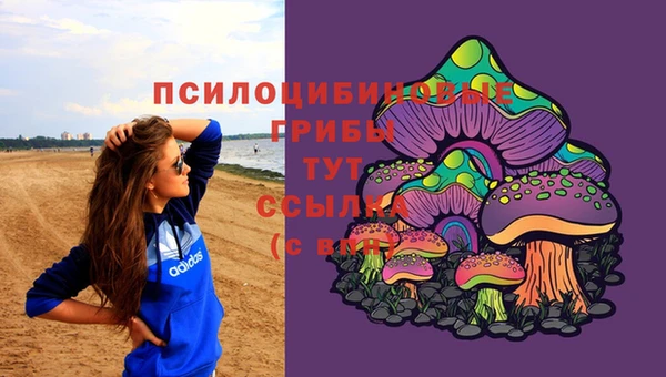бошки Армянск